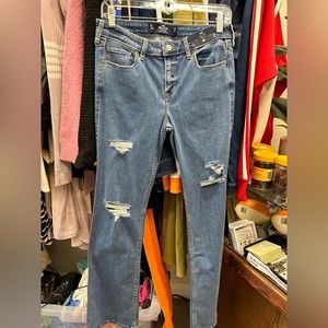 Hollister Jean